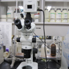 Microscope