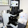 Microscope