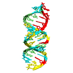 �@�\��RNA�̍\���Ƌ@�\