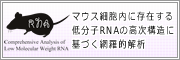 �ޥ�����˦���¸�ߤ�����ʬ��RNA�ι⼡��¤�˴�Ť�����Ū����